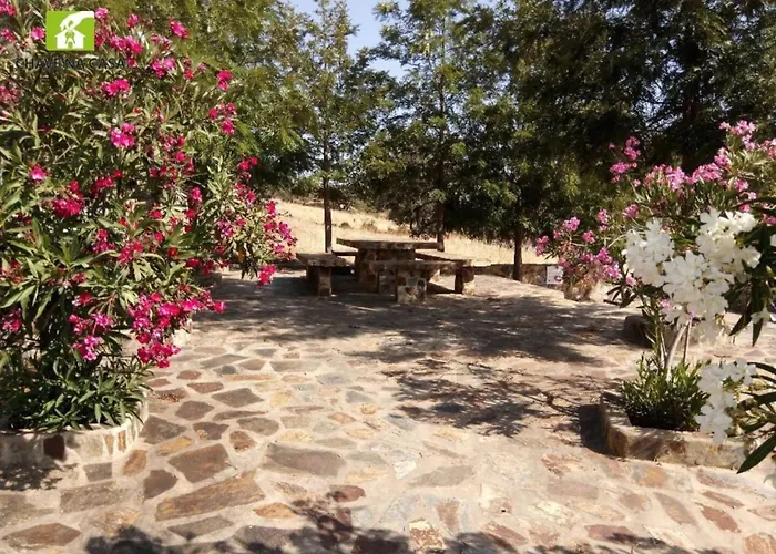 Casa Bonecas Farelos de Baixo