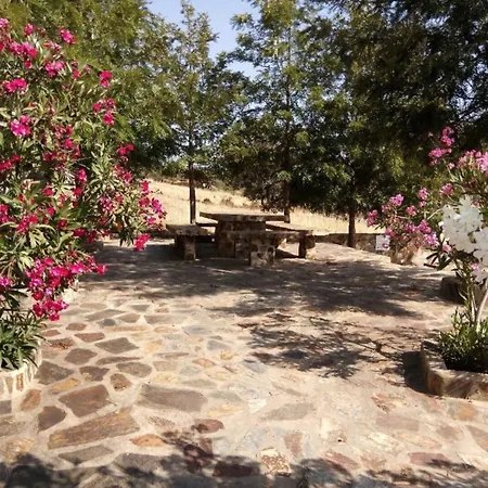 Casa Bonecas